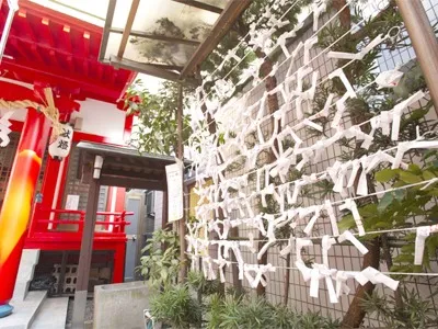 Omikuji fortune slips tied to the rack
