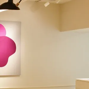 CLALA JAPAN aesthetic